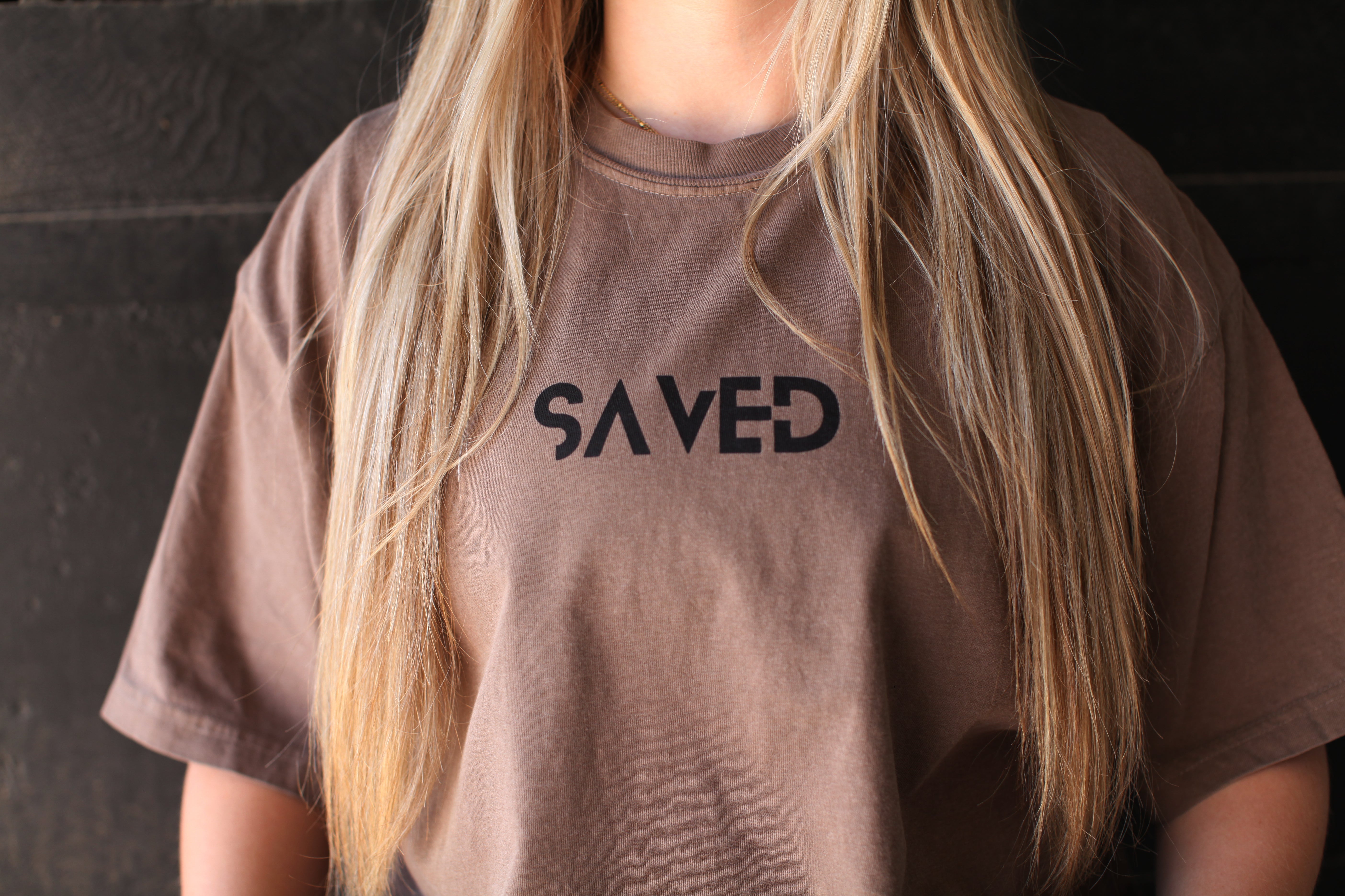 SAVED t-shirt, brown